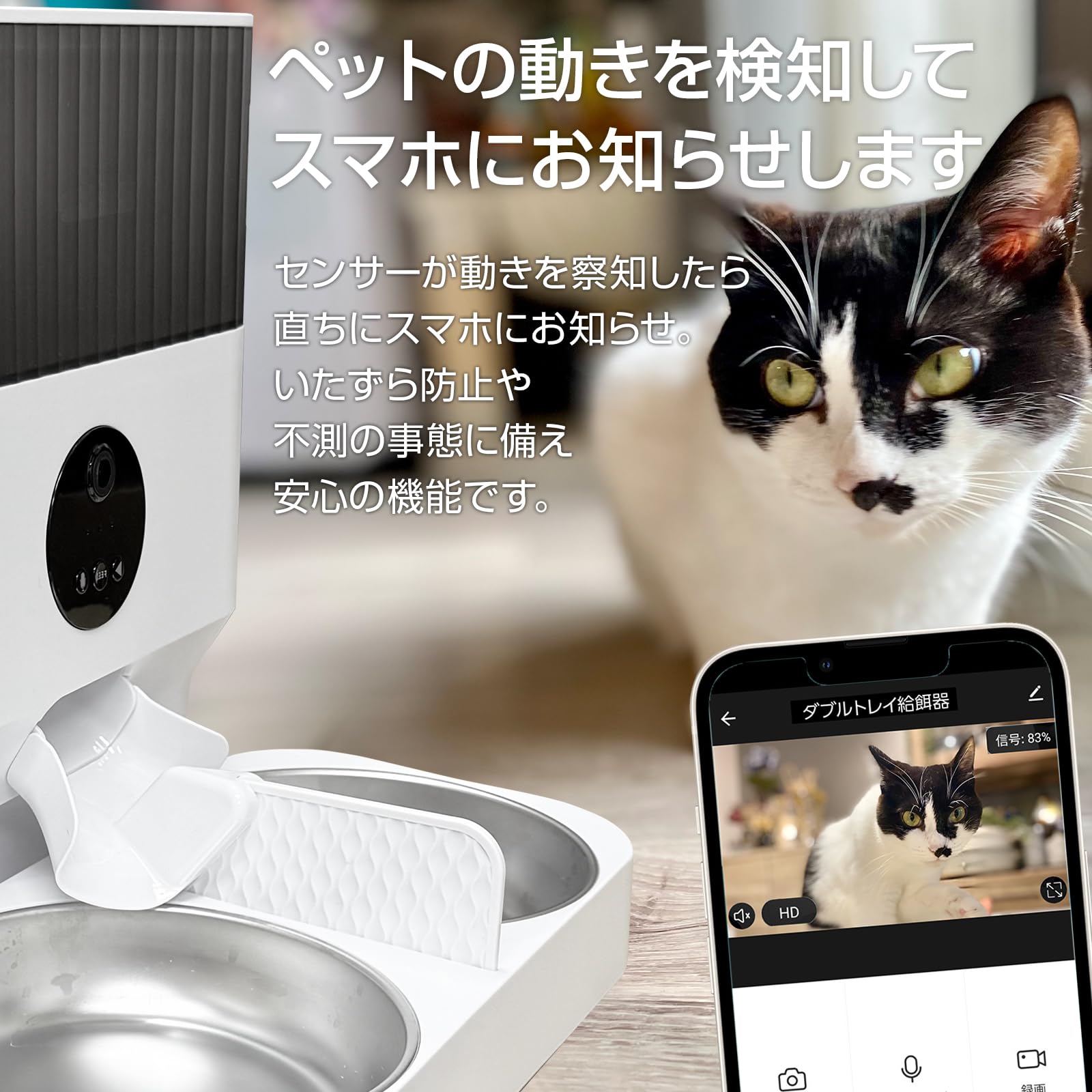 自動給餌器　多頭飼い　カメラ付きWi-Fi接続 ペットフィーダー Amazon | ブリシア 自動給餌器 猫 多頭飼い カメラ付き自動給餌